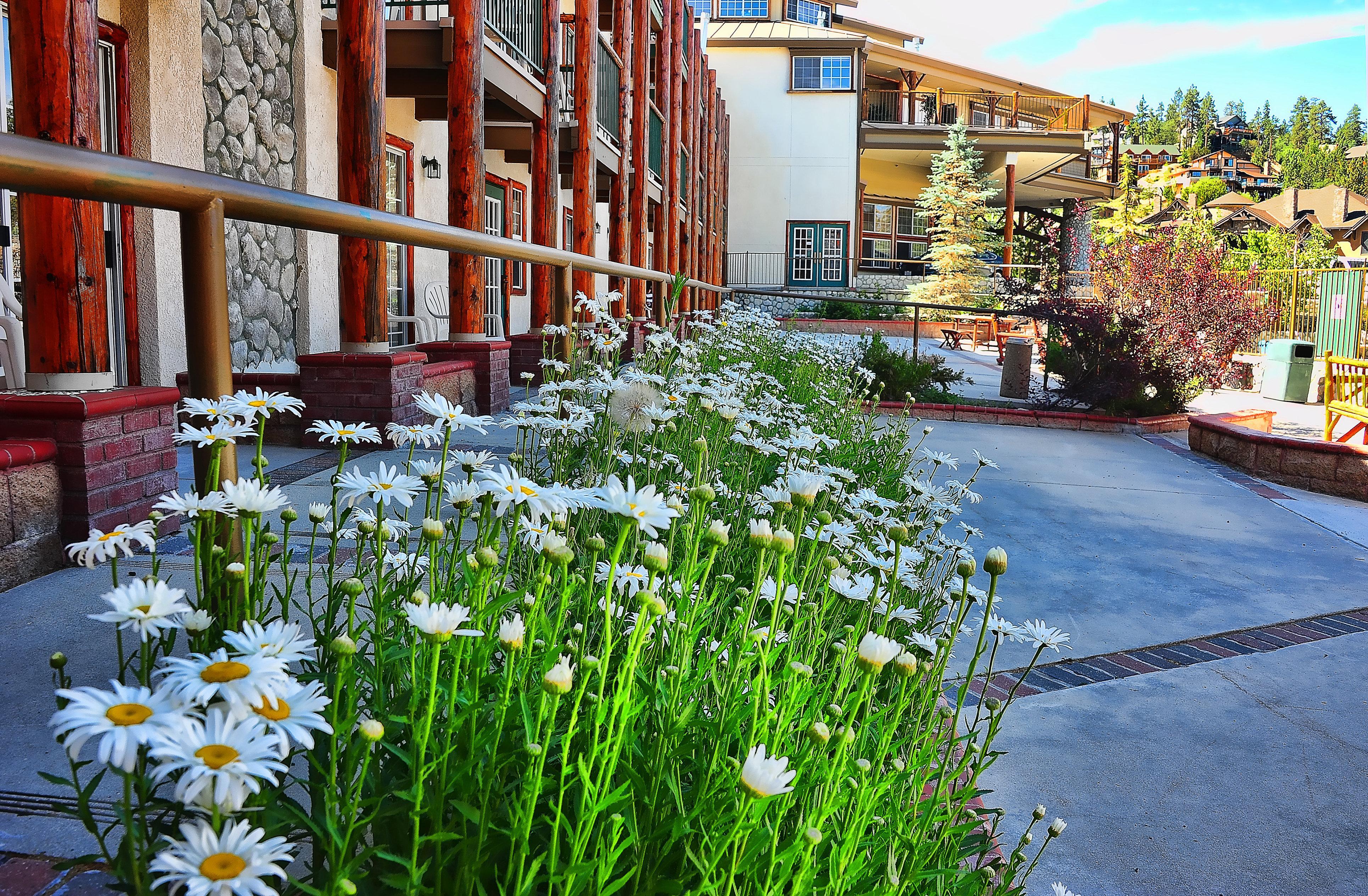 Holiday Inn Resort The Lodge At Big Bear Lake By Ihg Экстерьер фото